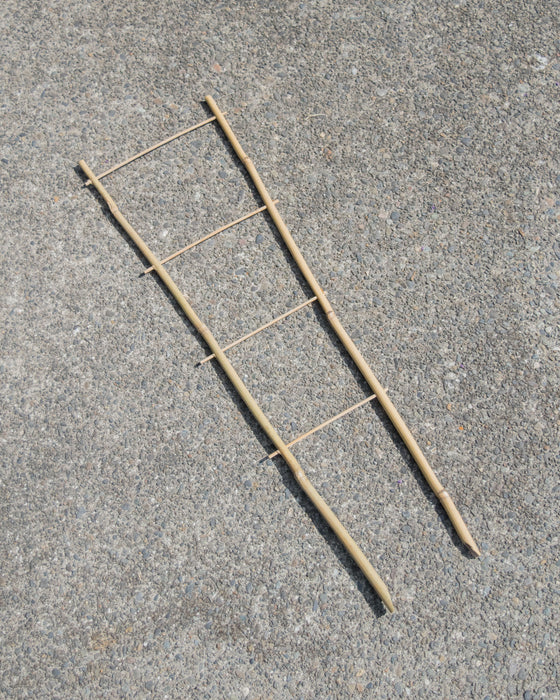 24" Plant Trellis - Bamboo