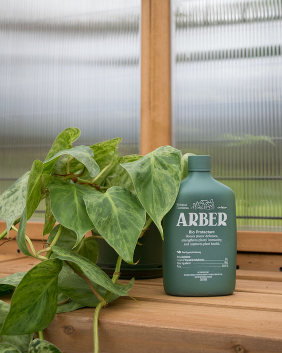 Organic Arber Bio Protectant/Disease Control - 16oz