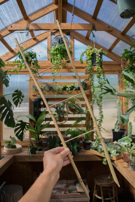 24" Plant Trellis - Bamboo