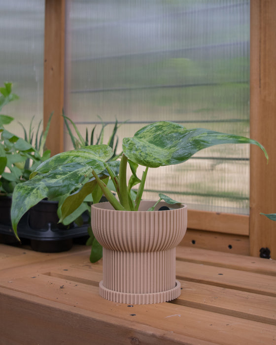 4" Japandi Ridged Planter with Drainage Tray - Tan