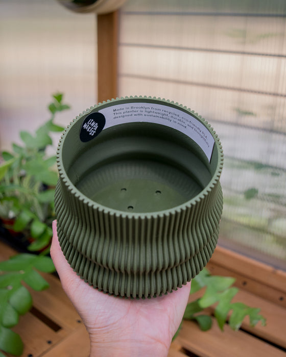 4" Ribbed Bubble Planter with Drainage Tray - Dark Green