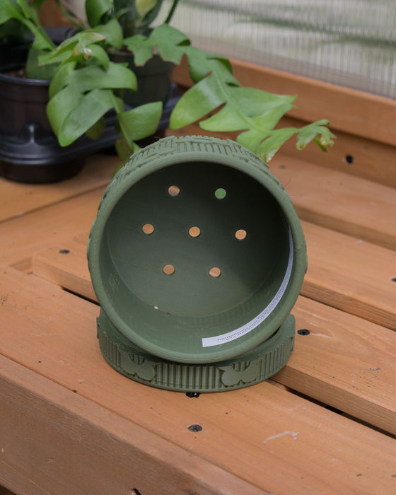 4" Eco-Friendly Daisy Planter with Drainage Tray (Two Colors)