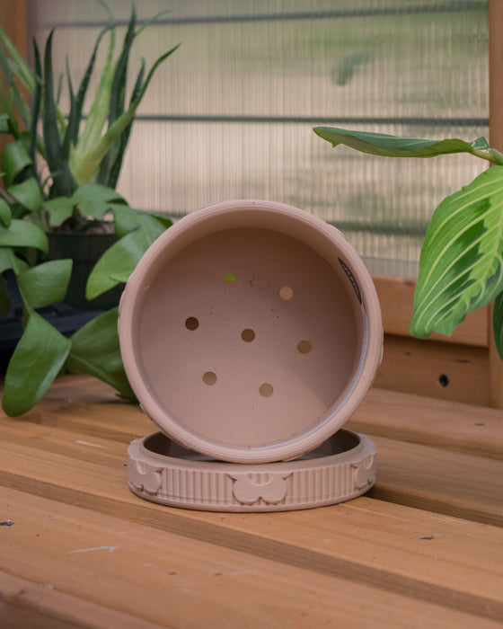 4" Eco-Friendly Daisy Planter with Drainage Tray (Two Colors)