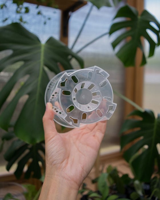 4in Clear Orchid Pots w/Saucer (Buy 2, Get 1 FREE)