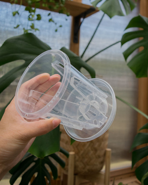 clear pots for plants 4in Clear Orchid Pots w/Saucer– Jungle Cat Greenhouse