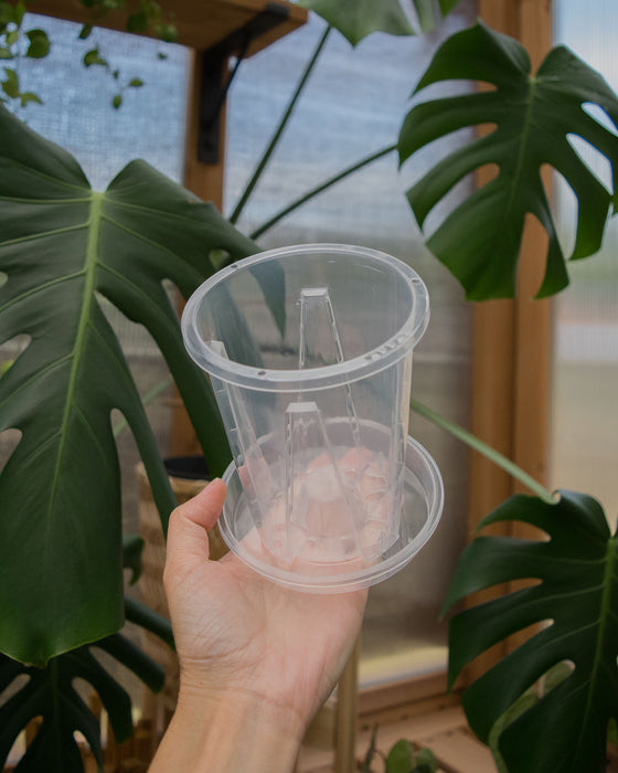 4in Clear Orchid Pots w/Saucer (Buy 2, Get 1 FREE)