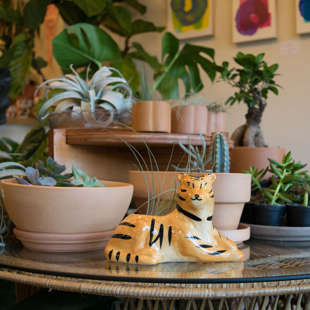 tiger plant pot 2.75" Untamed Tiger Pot